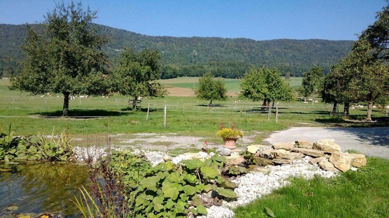 Apartement-Gite Rural A 3 Km De Delemont Courcelon Exterior photo